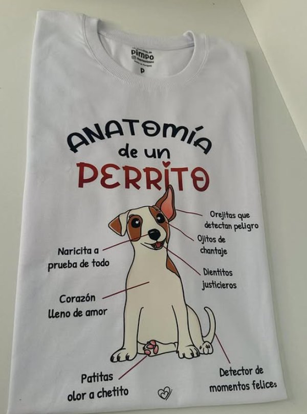 Anatomia de un perrito By: @bbilustra.py