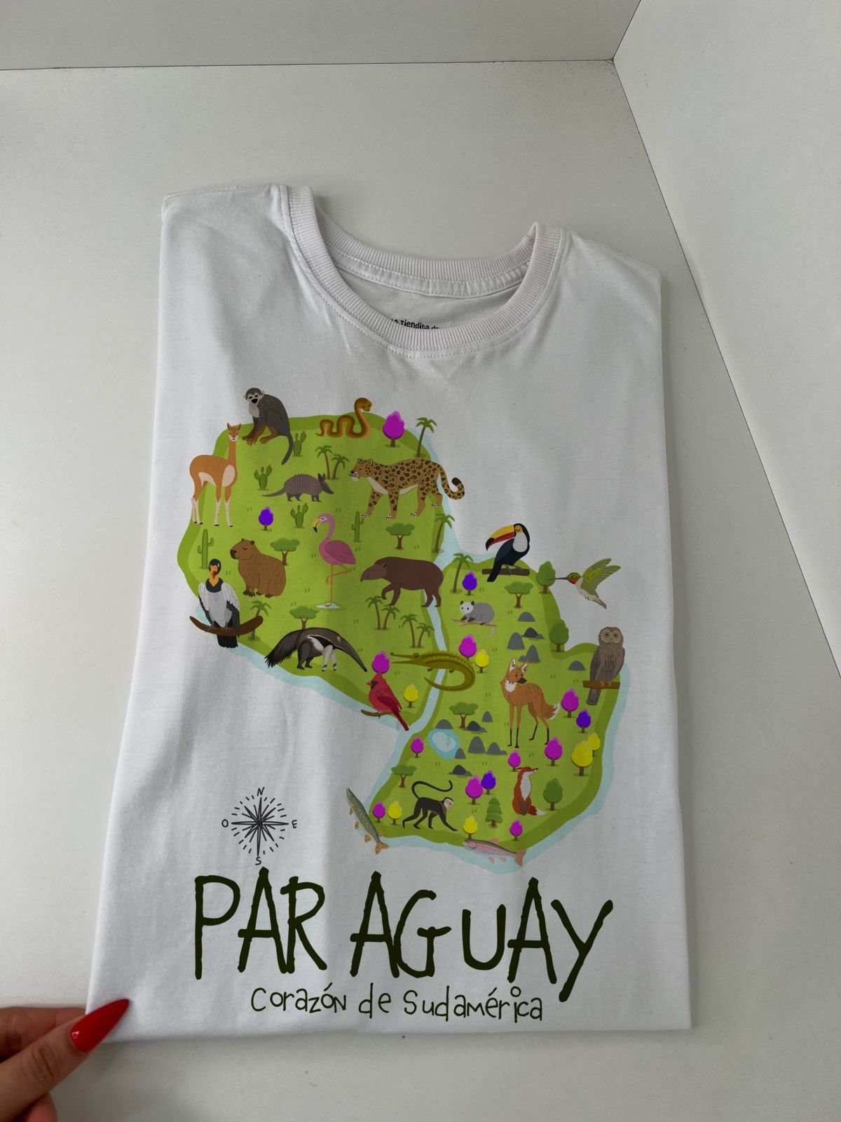 Paraguay Fauna By: @grillo_benitez - 5