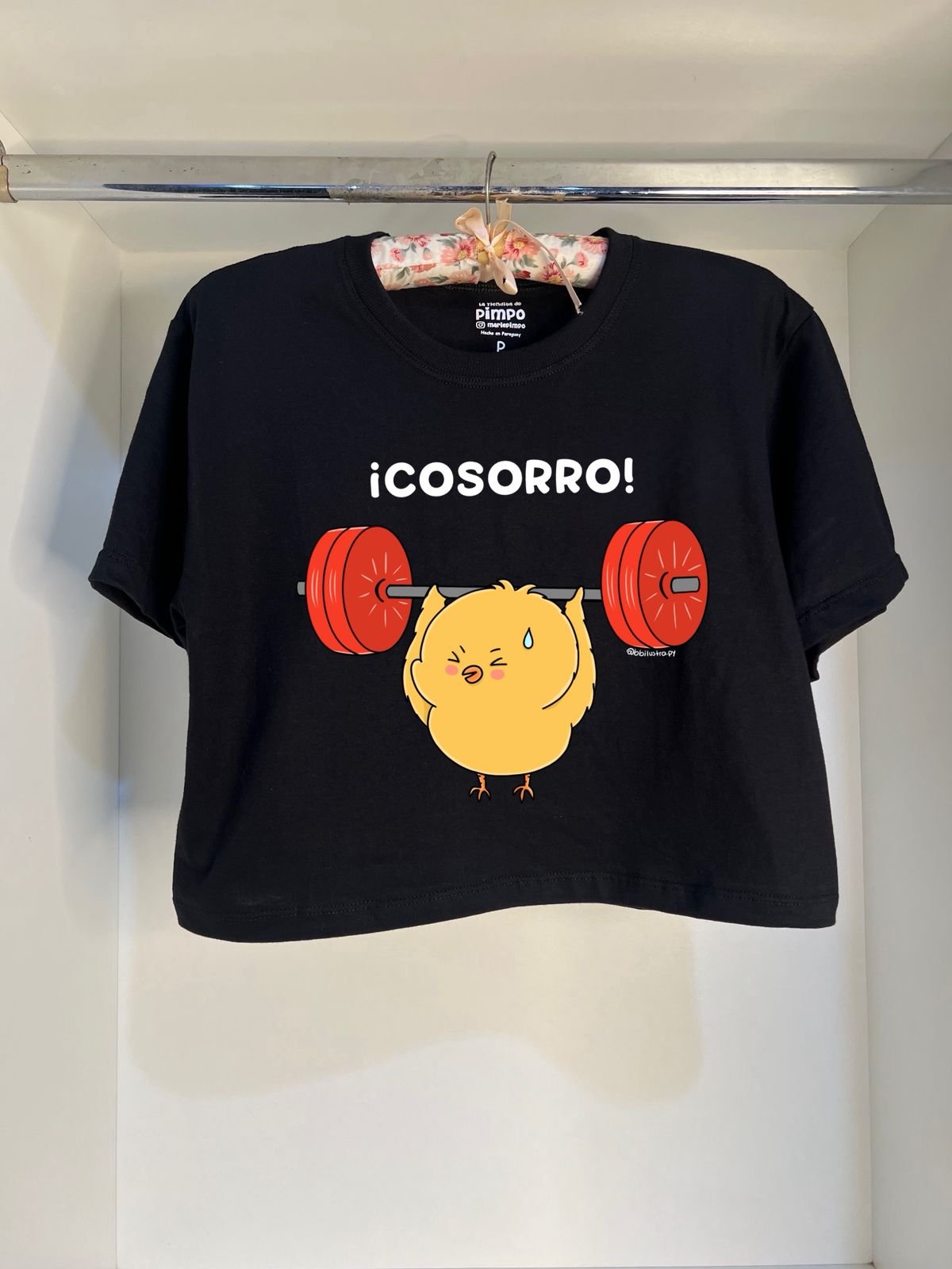 Pollito Socorro By: @bbilustra.py - 2