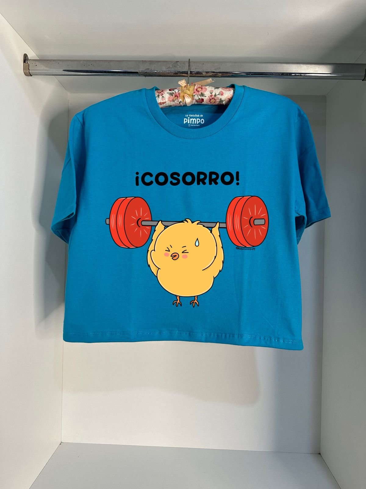 Pollito Socorro By: @bbilustra.py - 3