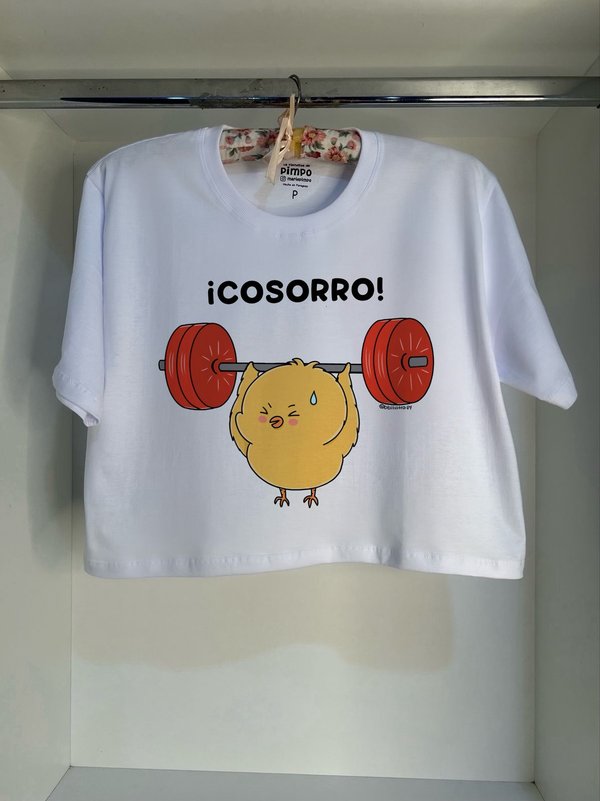 Pollito Socorro By: @bbilustra.py