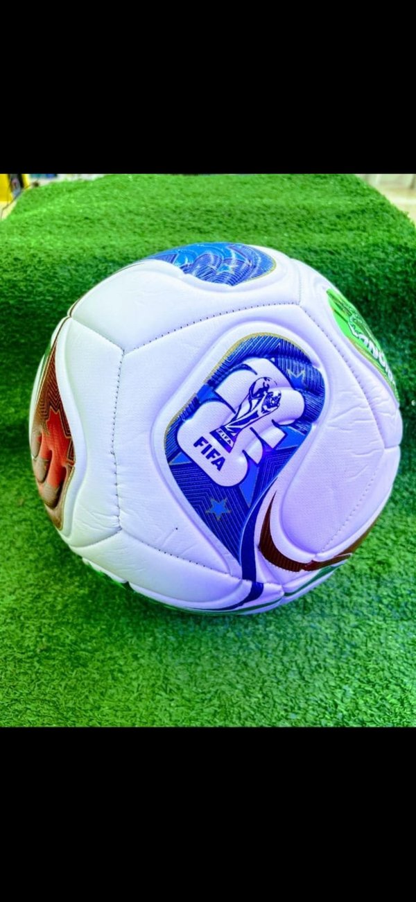 Pelota Mundial N5