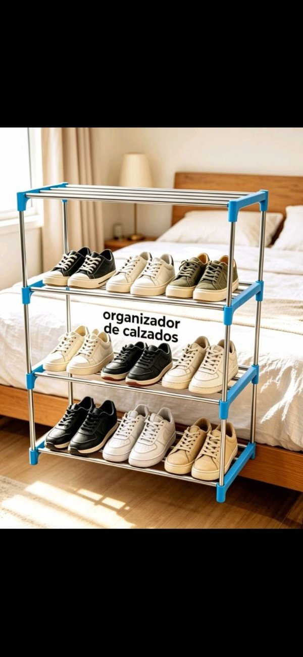 Organizador de calzados