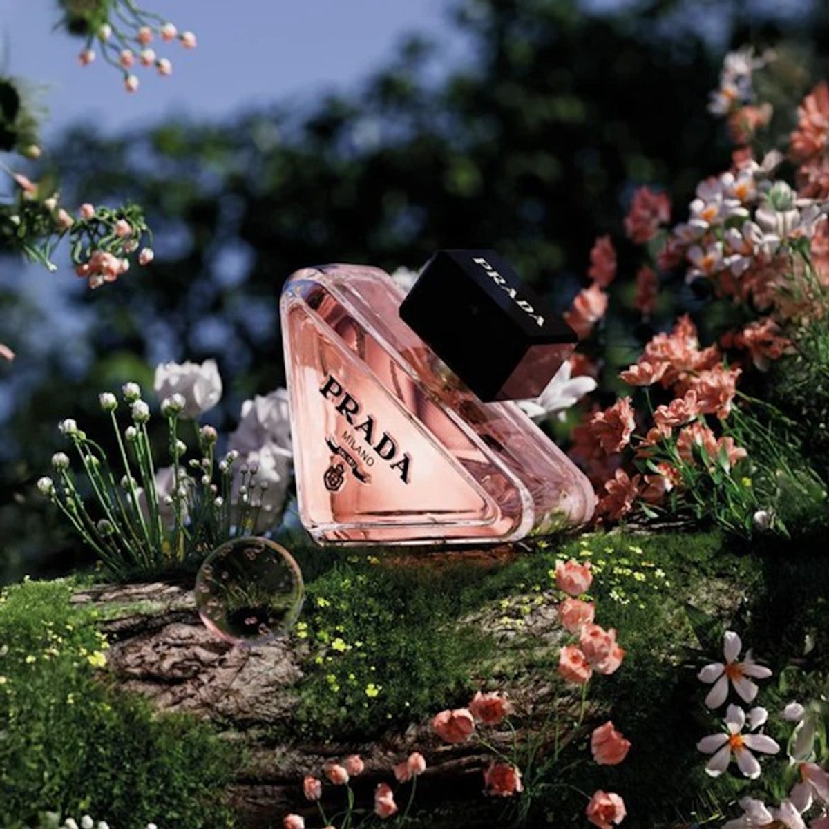 PRADA PARADOXE F 90ML EDP