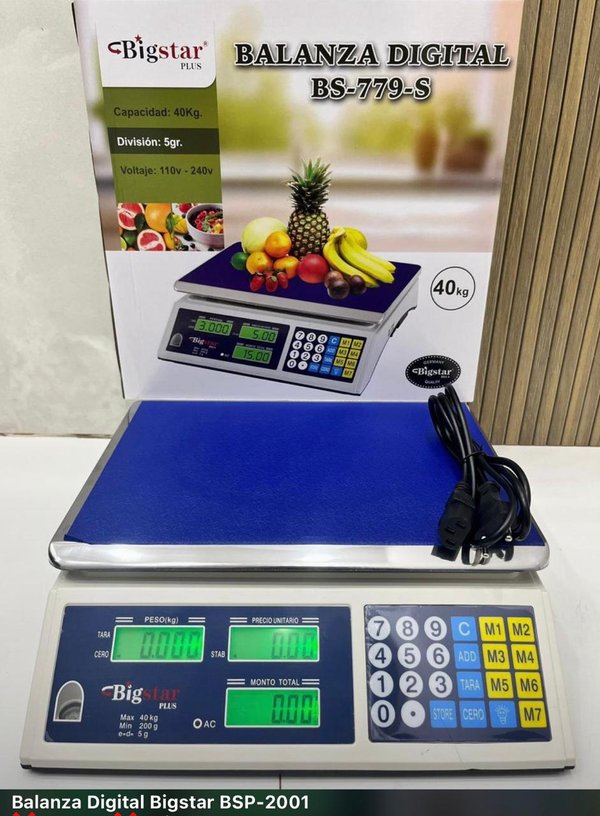 BALANZA DIGITAL BIGSTAR  BSP-2001