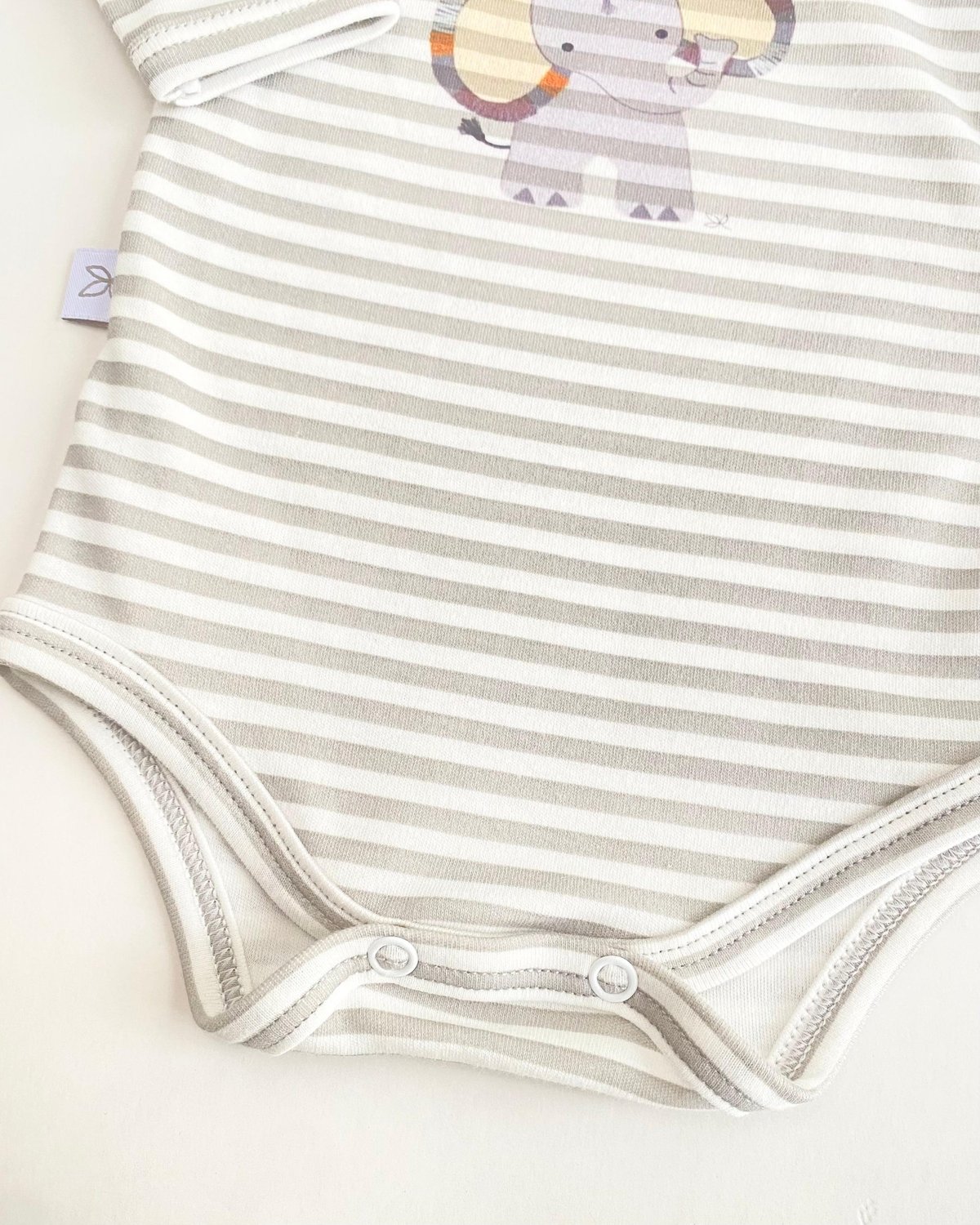 Body Paris- Addo  Cod.555 - 3