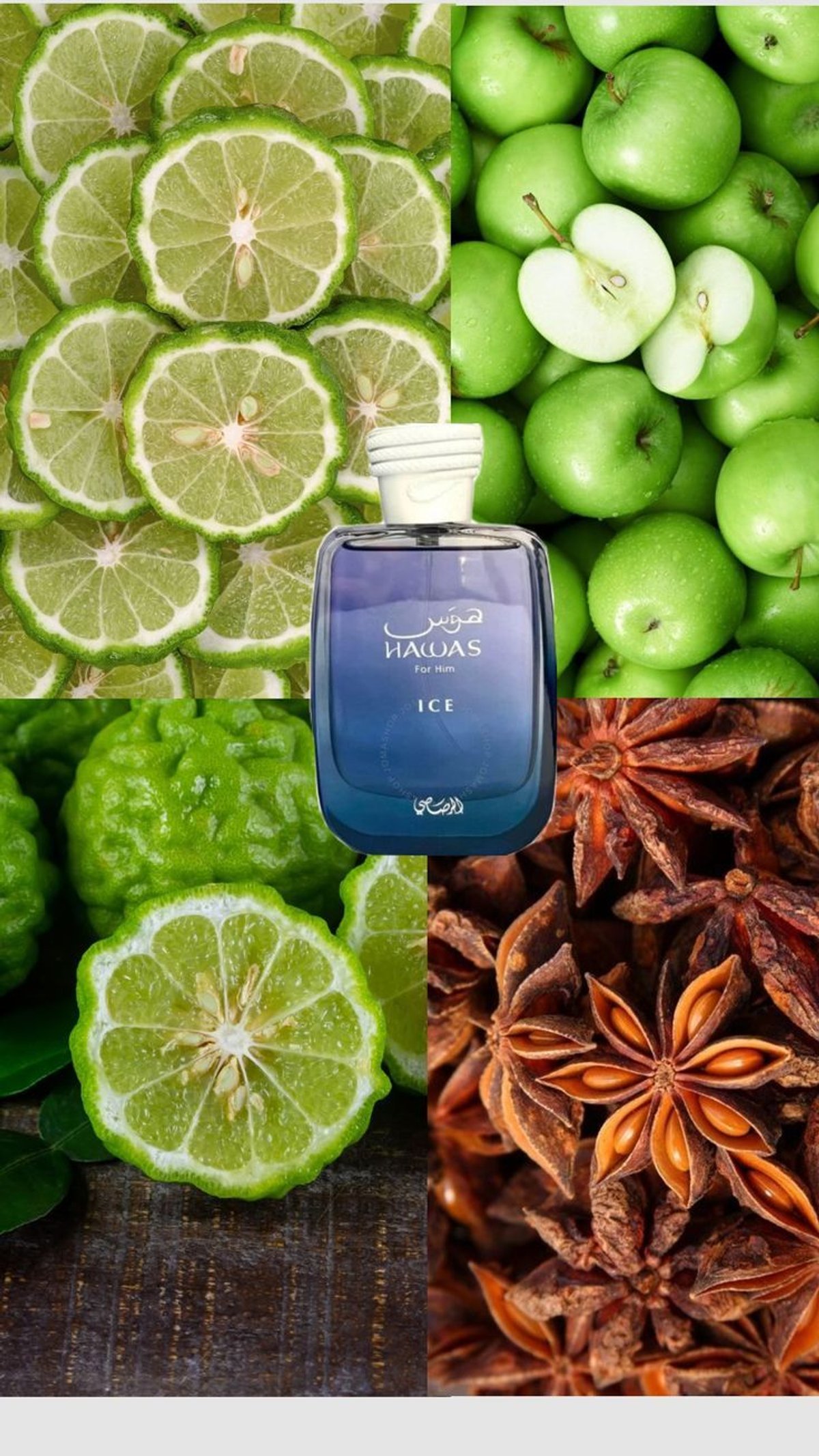 RASASI HAWAS ICE FOR HIM EDP