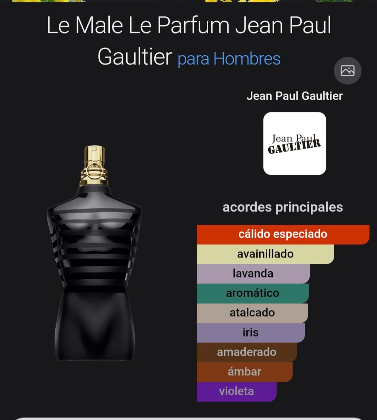 Le Male Le Parfum de Jean Paul Gaultier
