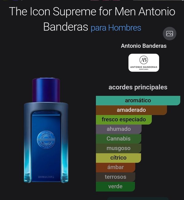 ANTONIO BANDERAS THE ICON SUPREME MASCULINO