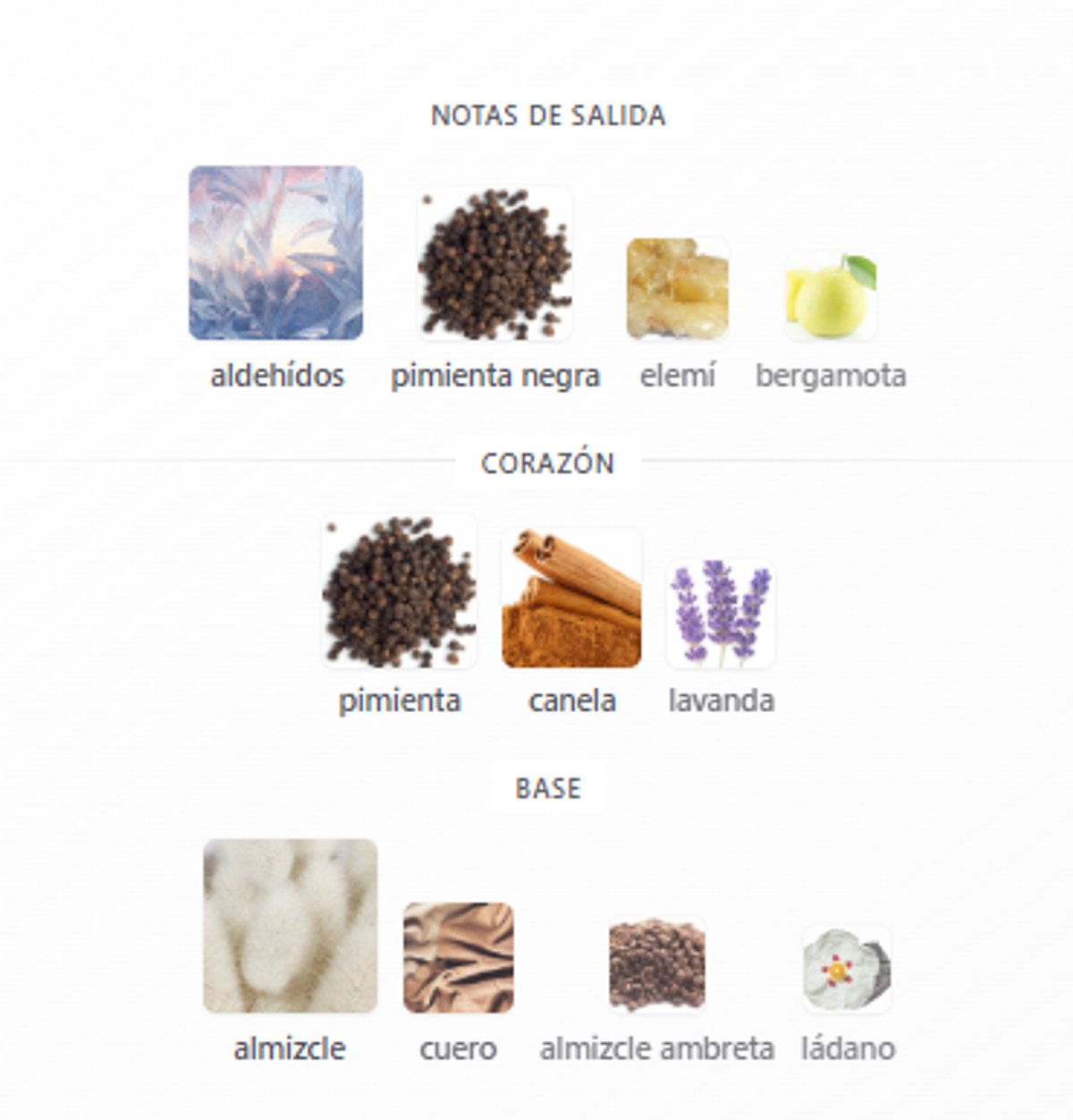 Viktor&Rolf -  Spicebomb Metallic Musk  - 4