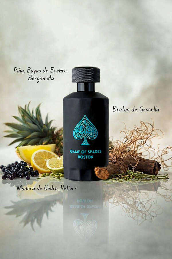 Jo Milano Paris Game of Spades Boston