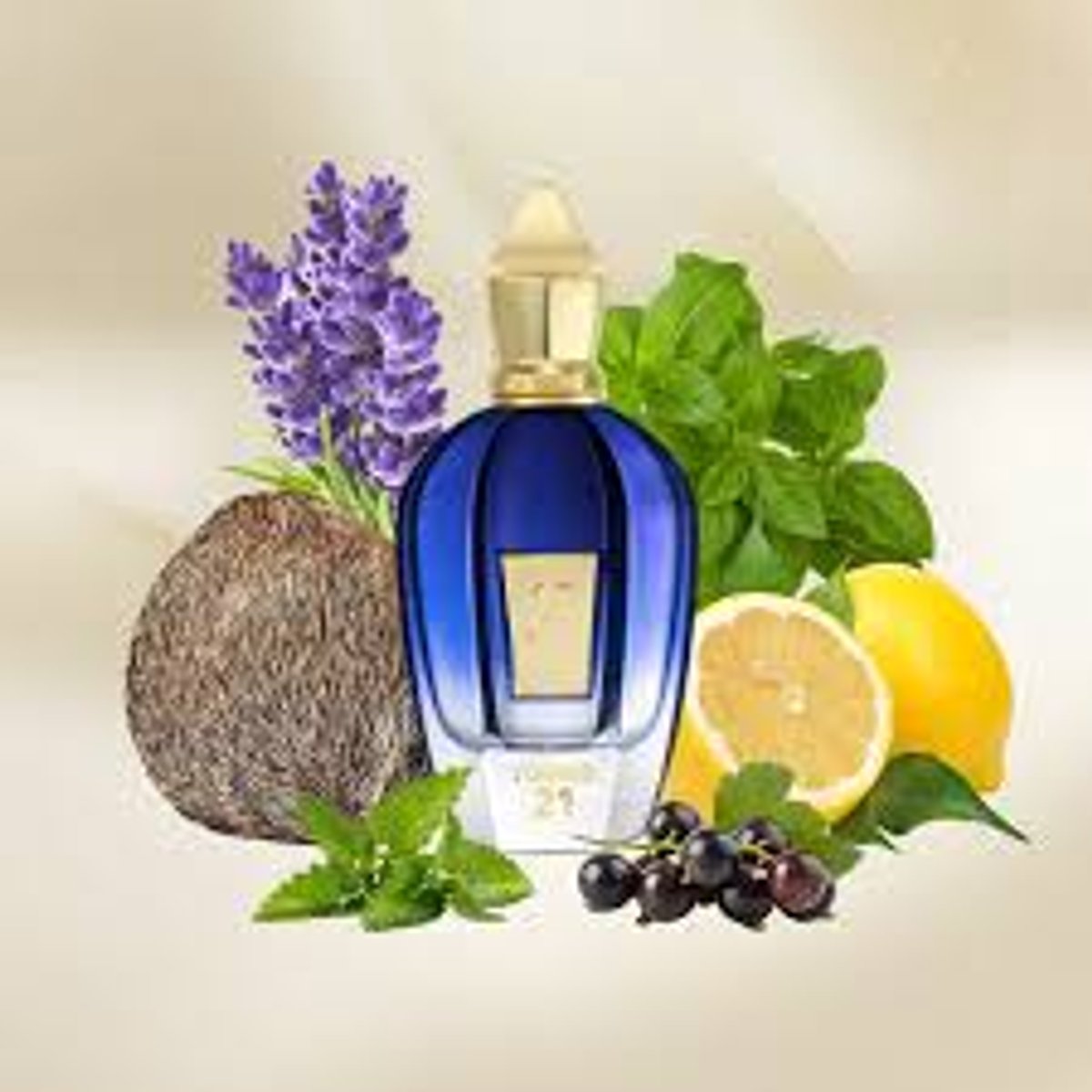 Xerjoff - Torino 21  - 2