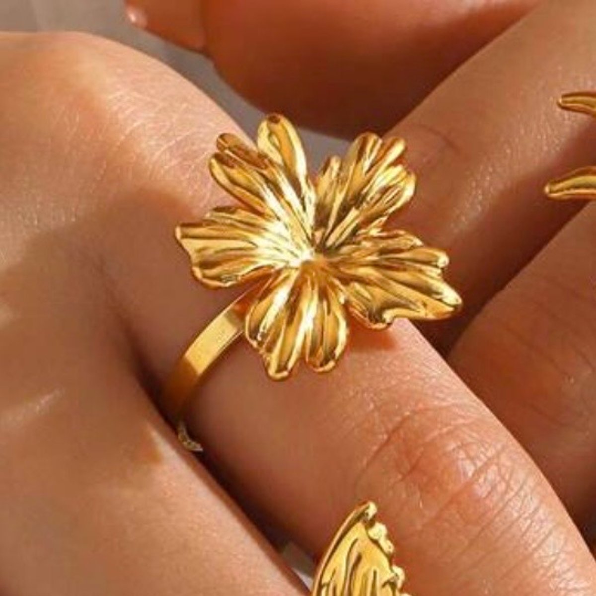 Maxi Anillos ajustables  - 2