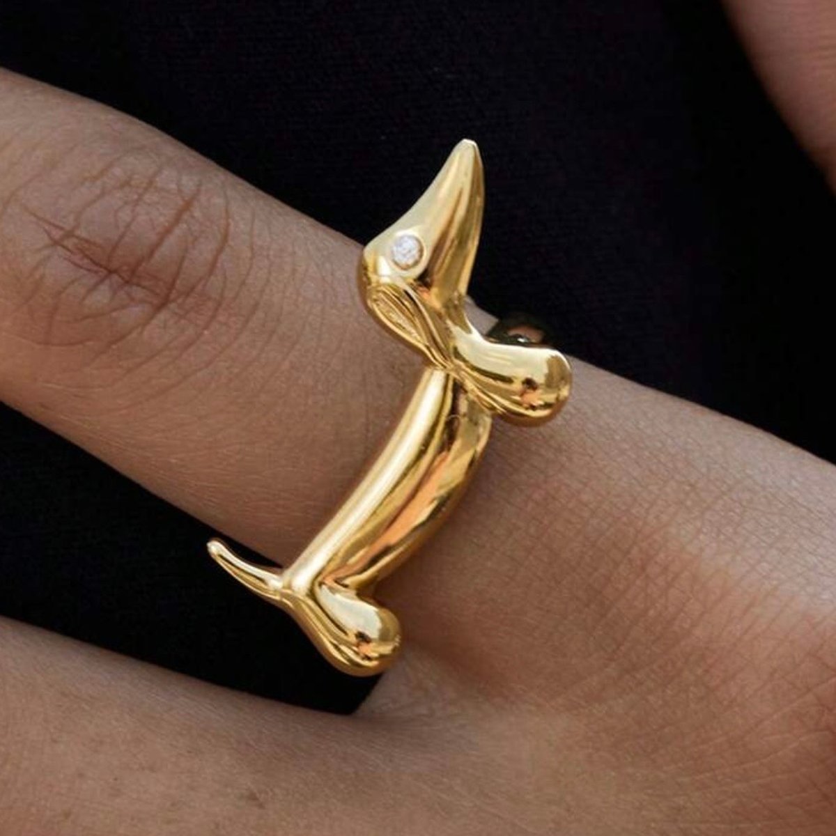 Anillo Salchi  - 3