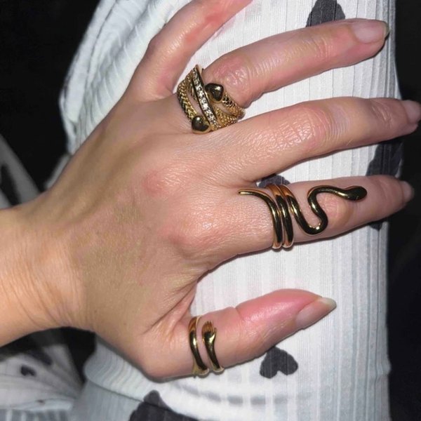 Anillo snake 