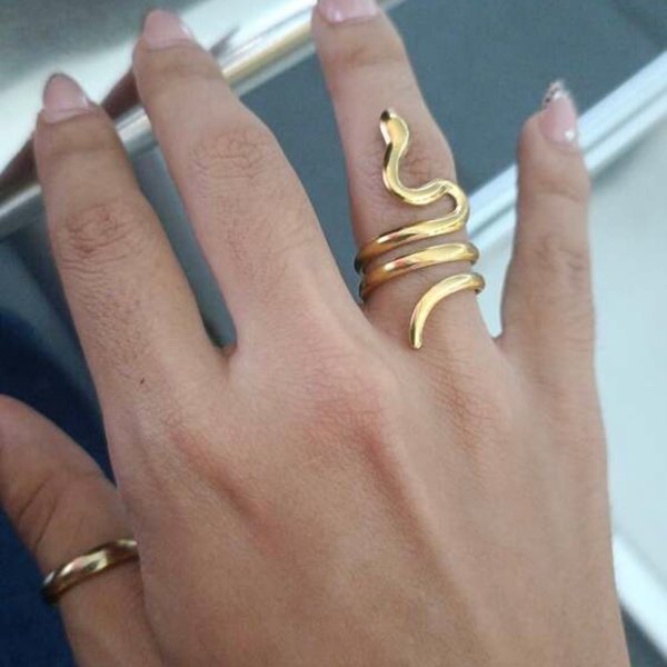 Anillo snake 