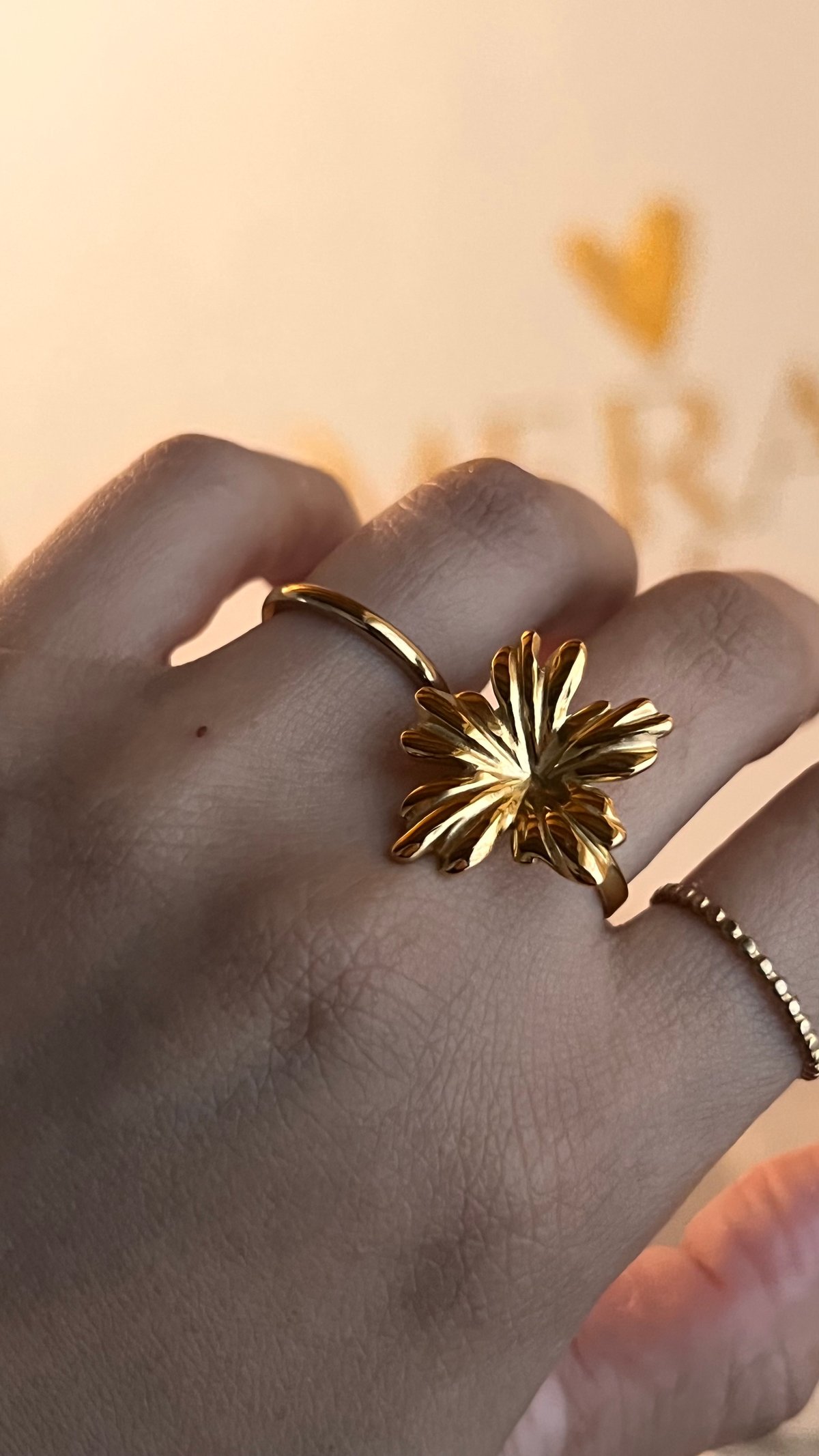 Anillos ajustables  - 7