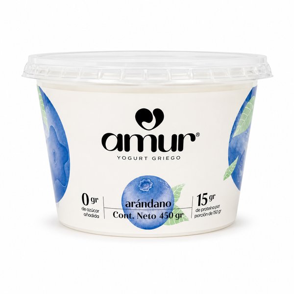 amur – YOGURT GRIEGO (sabor arándano)