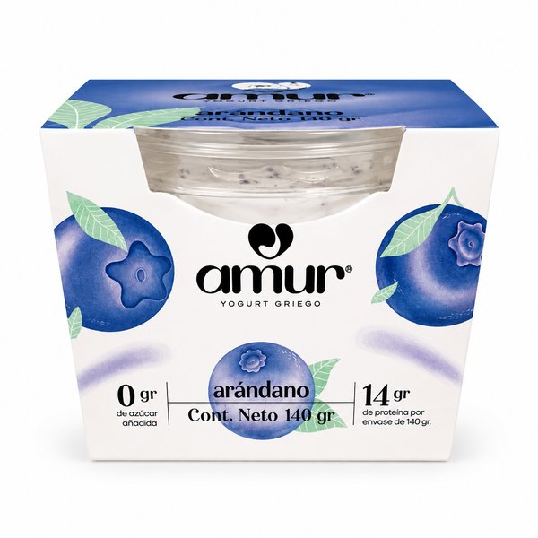 amur – YOGURT GRIEGO (sabor arándano)