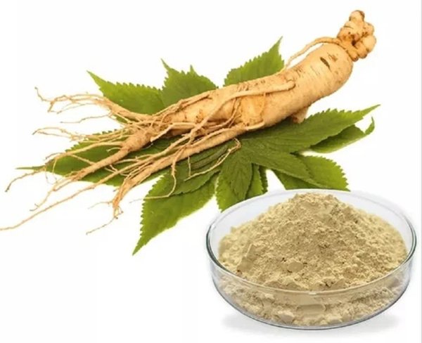 Ginseng en Polvo a Granel