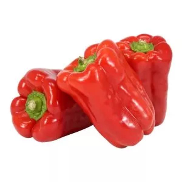 Locote Rojo
