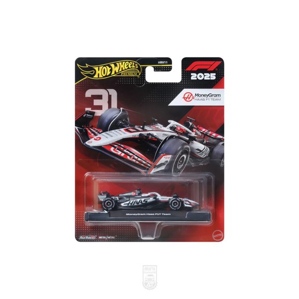 MoneyGram Hass F1 Team #31