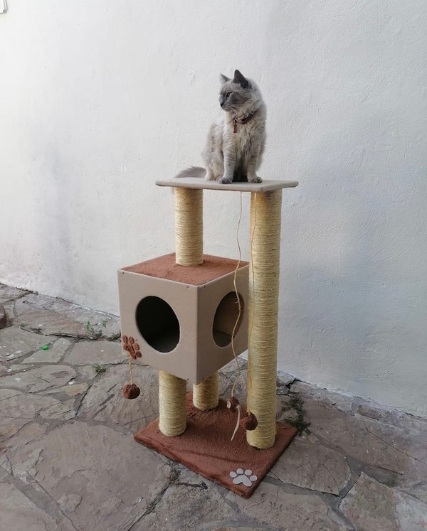 Rascador de madera/No desmontable 