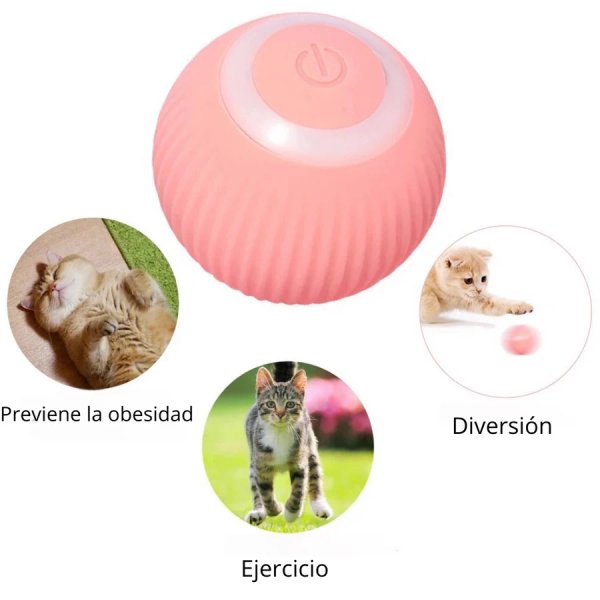 Juguete redondo para gatos