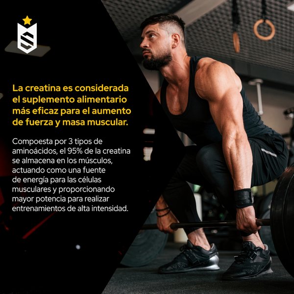 Creatina 💪