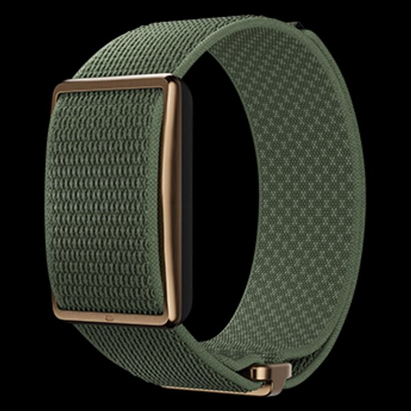 Smartwatch Polar Loop