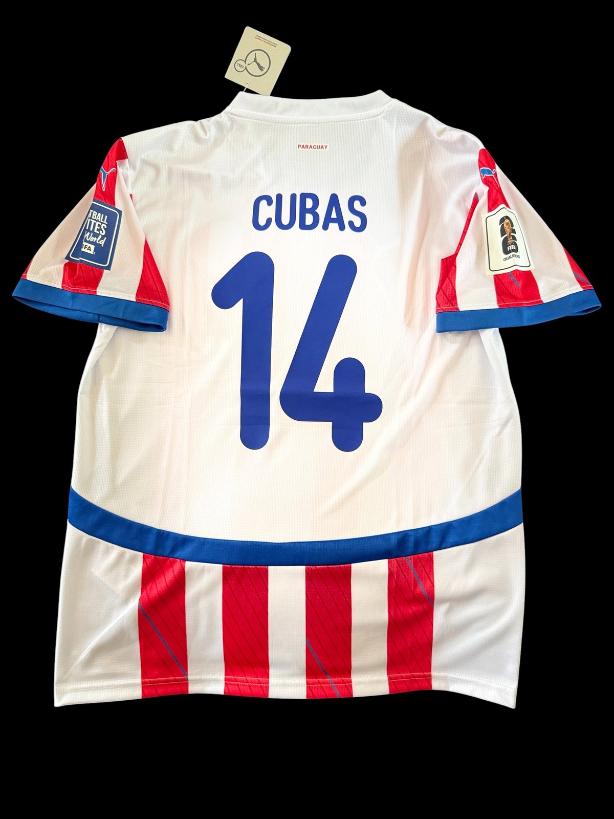 Paraguay Home Kit 2025 con Dorsales - 4