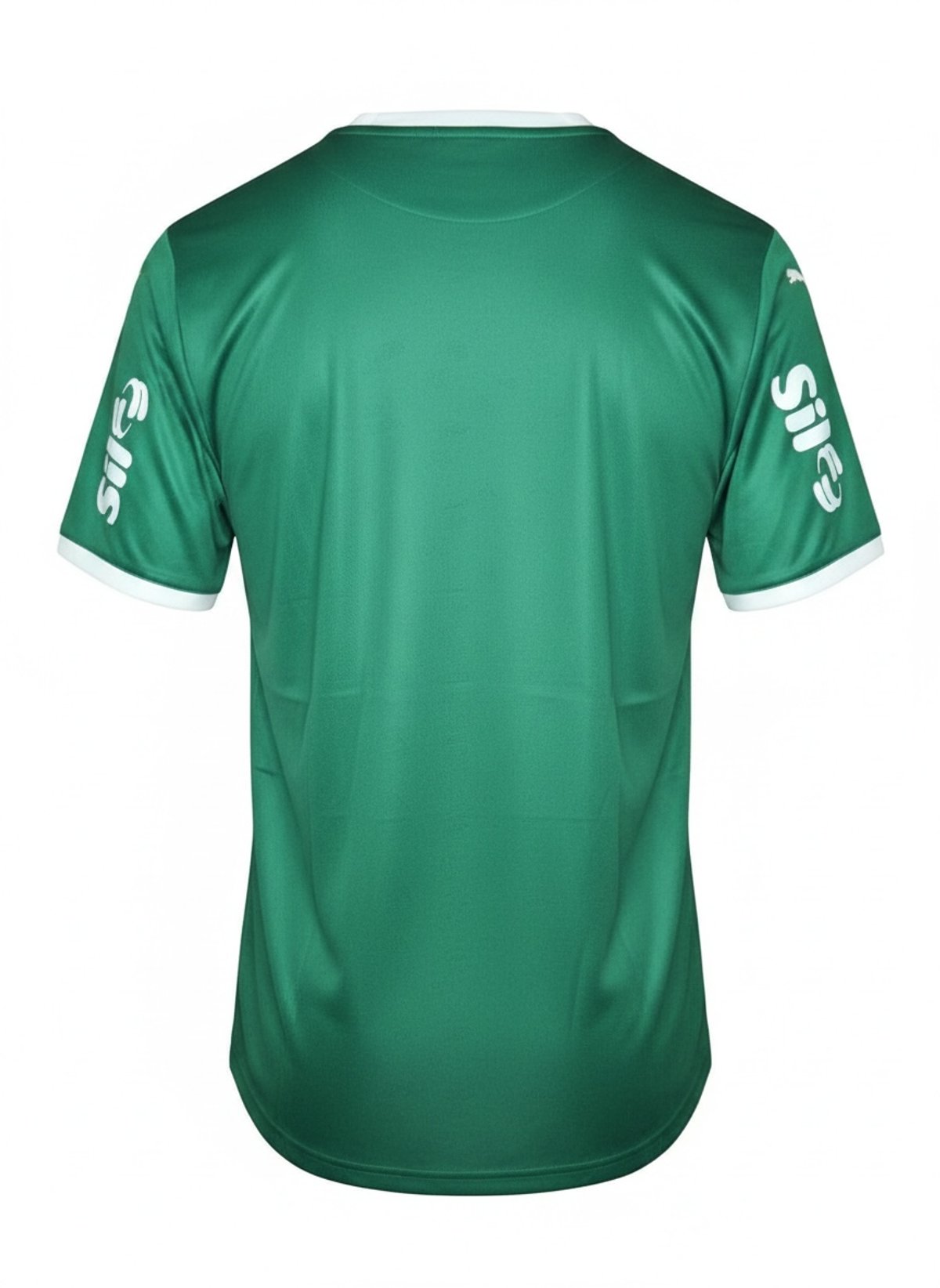 Palmeiras Home 2025  - 2
