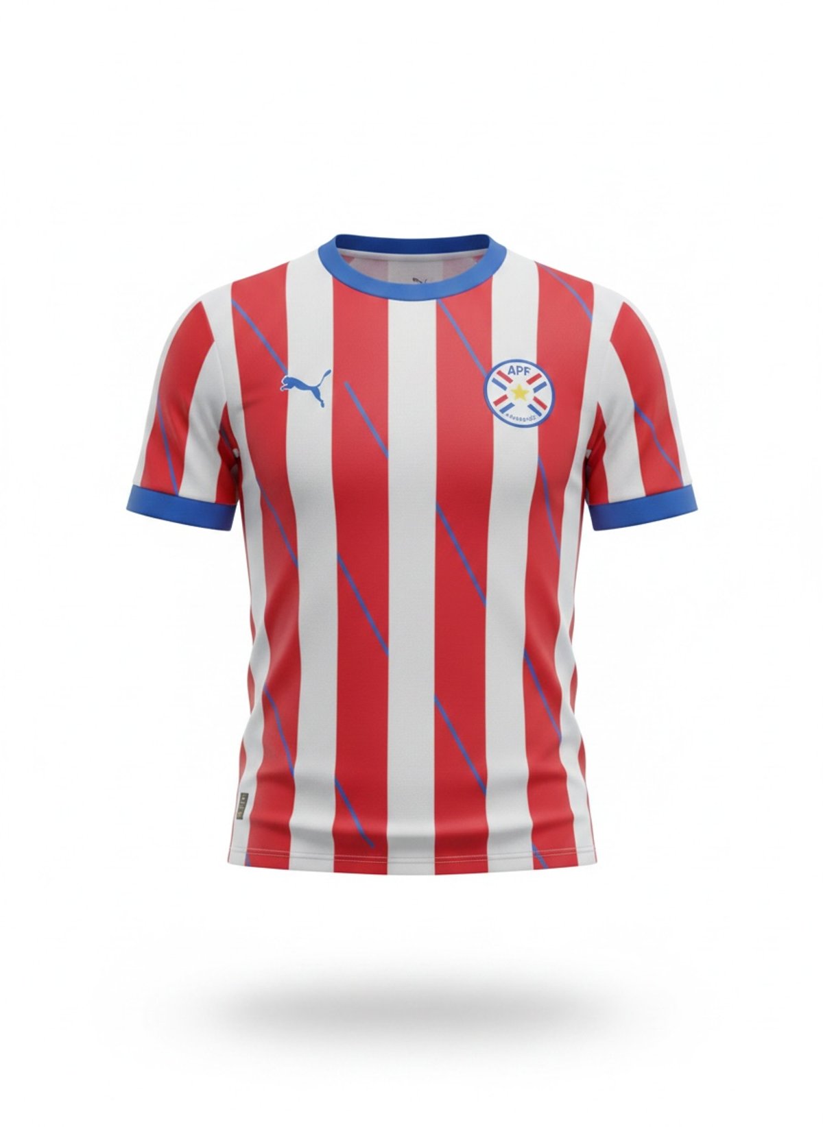 Paraguay Home Kit 2025