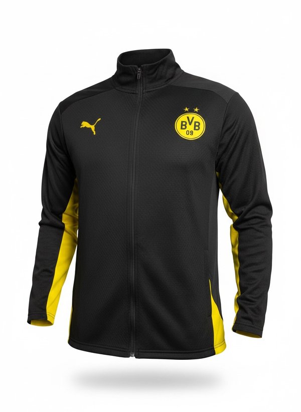Conjunto Borussia Dortmund 24/25