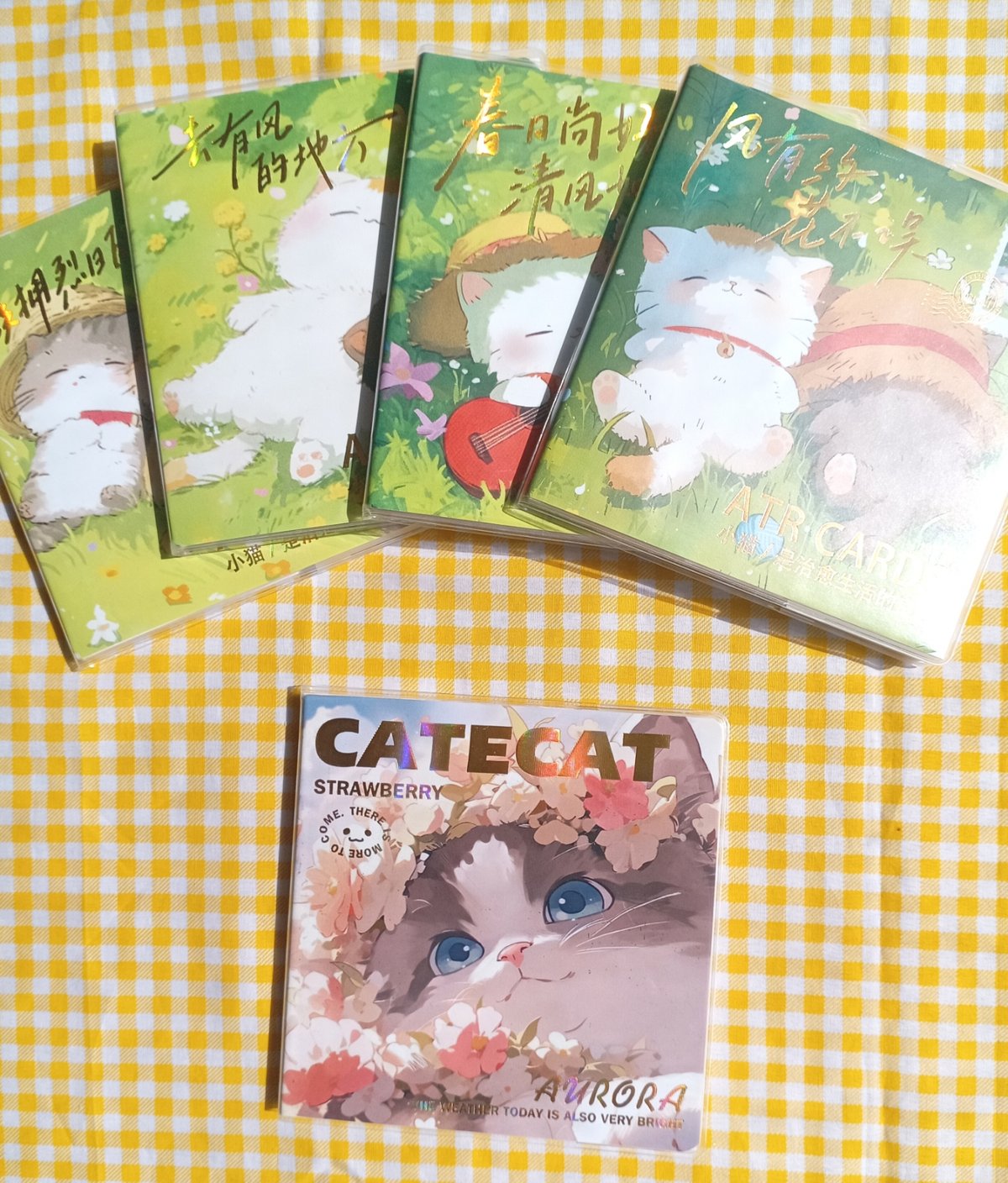 Libreta de gatitos cuadrada - 2