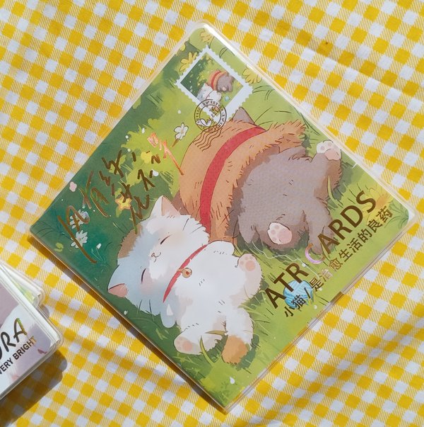 Libreta de gatitos cuadrada