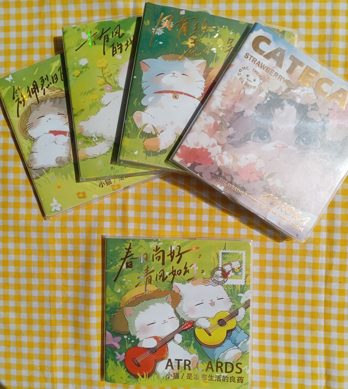 Libreta de gatitos cuadrada - 5