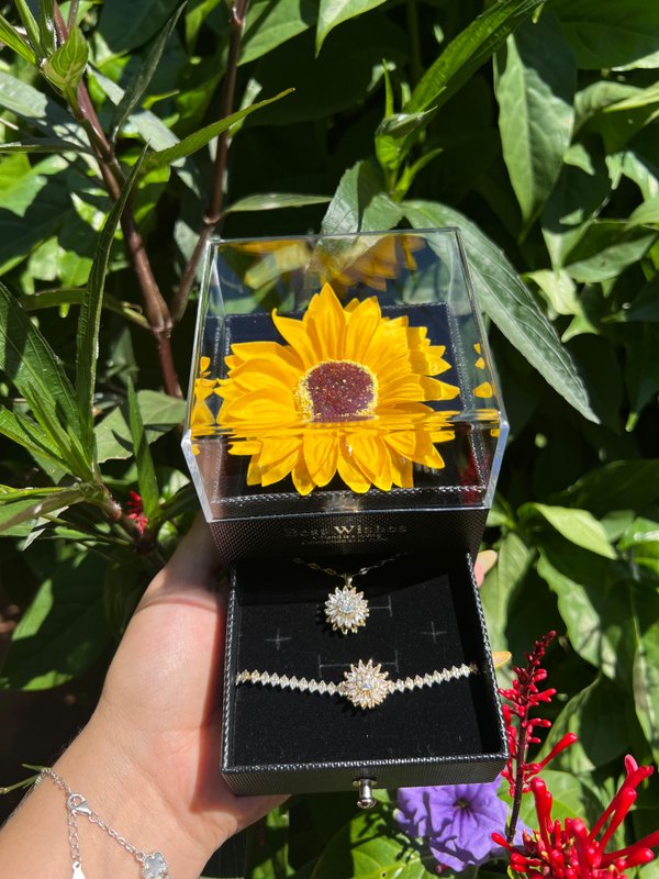 Combos girasol 🌻 