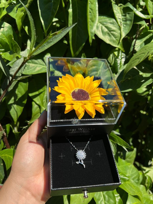 Combo girasol anti estrés