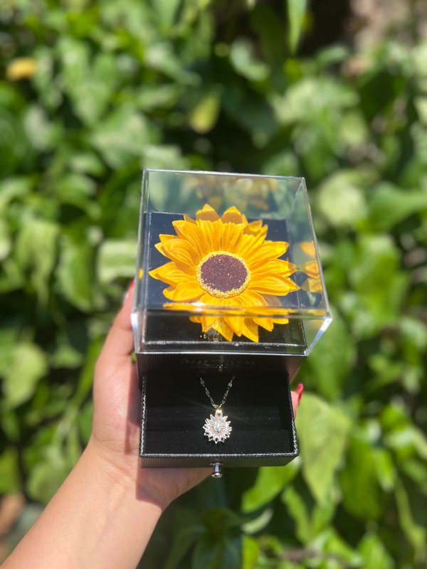 Girasol  giratorio sin tallo