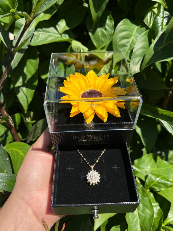 Combo girasol anti estrés