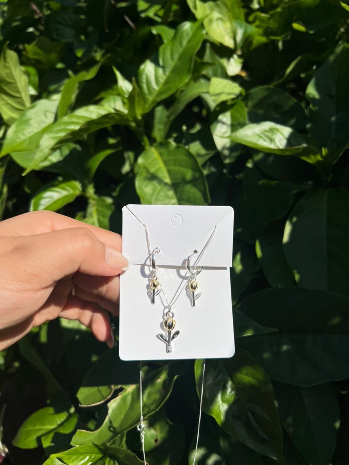 Set tulipanes amarillo