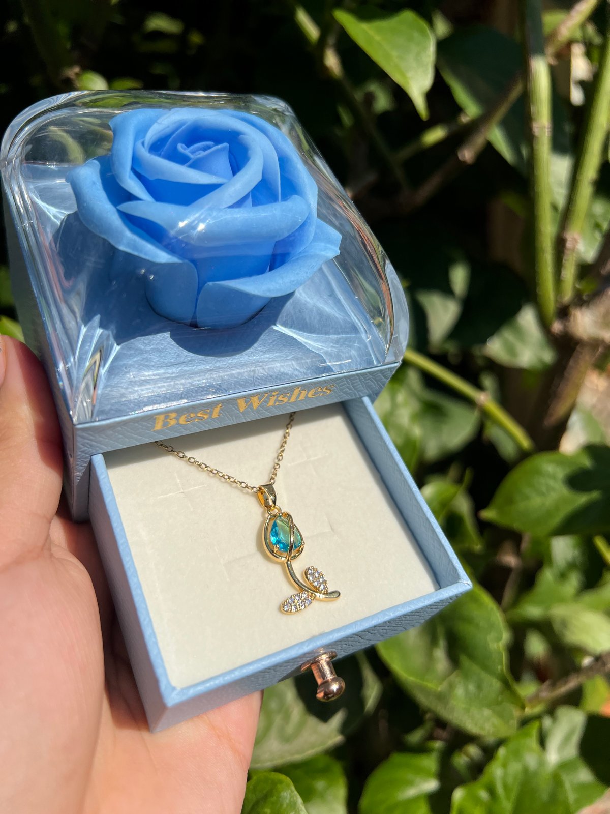 Tulipán celeste 🩵