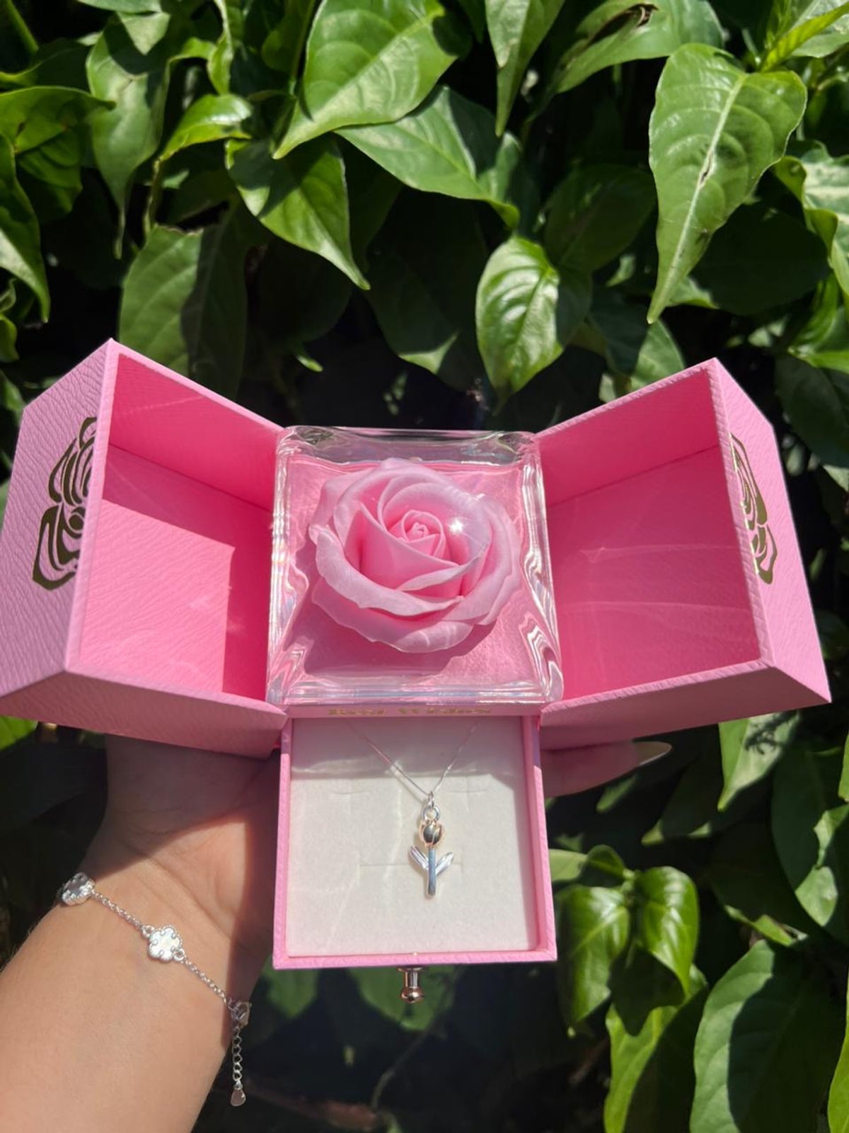 Set tulipanes amarillo