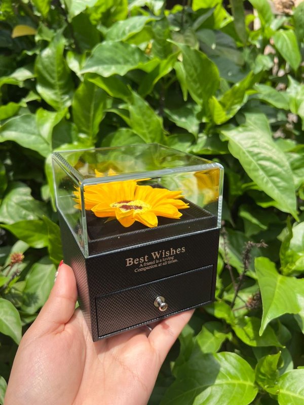 Caja de girasol eterna