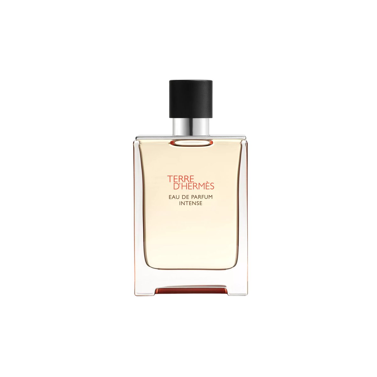 Terre D’hermès Eau de Parfum Intense