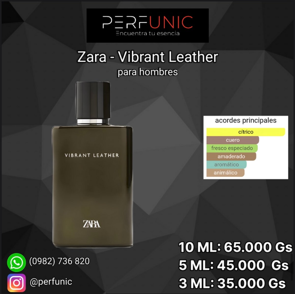 Zara Vibrant Leather