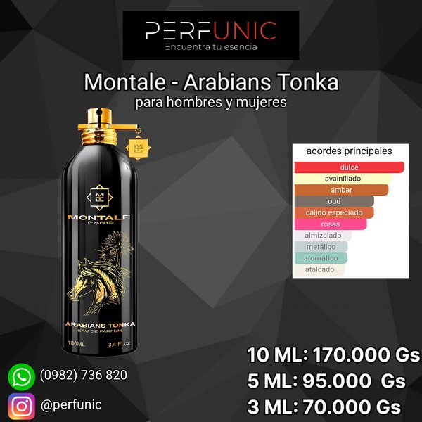 Arabians Tonka