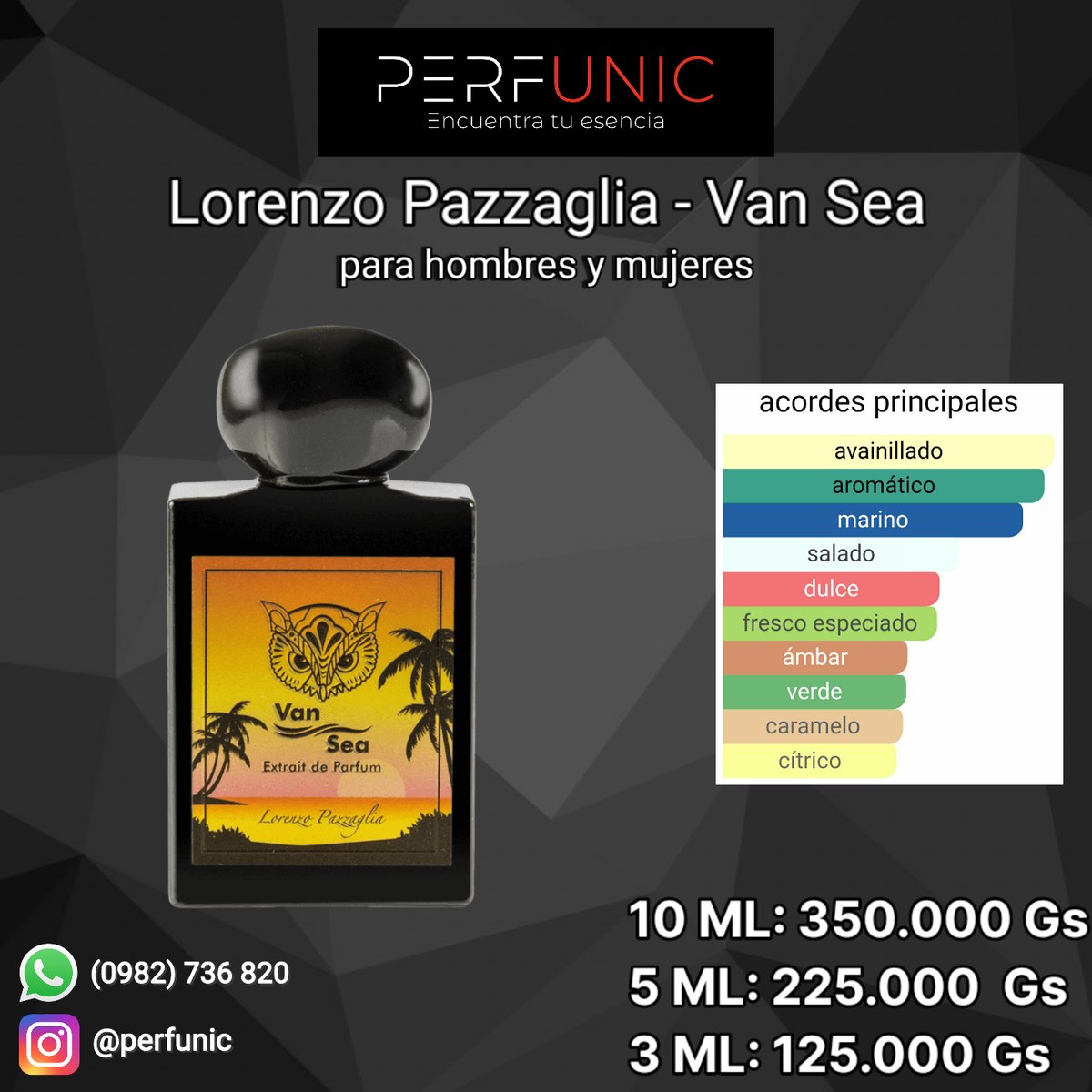 Van Sea Lorenzo Pazzaglia