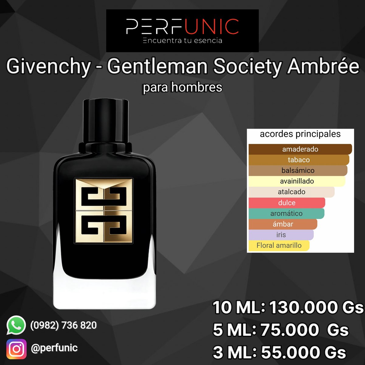 Gentleman Society Ambrée